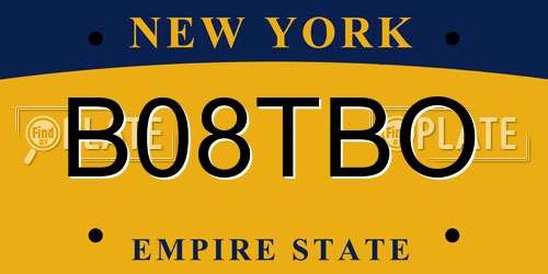 B08TBO New York License Plate