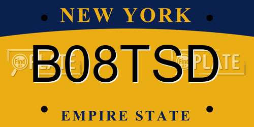 B08TSD New York License Plate