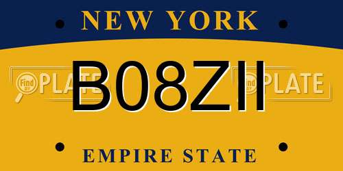 B08ZII New York License Plate