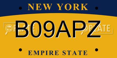 B09APZ New York License Plate