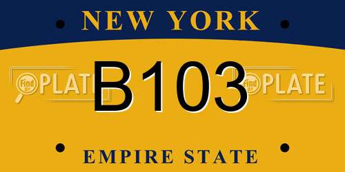 B103 New York License Plate
