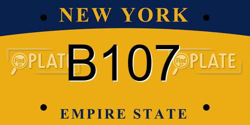 B107 New York License Plate