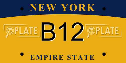 B12 New York License Plate