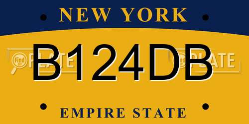 B124DB New York License Plate