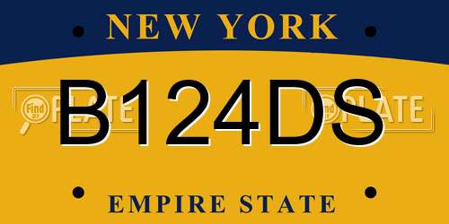 B124DS New York License Plate