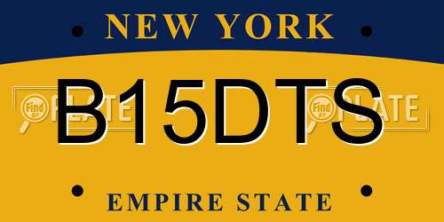 B15DTS New York License Plate