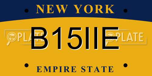 B15IIE New York License Plate