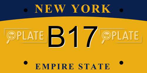 B17 New York License Plate