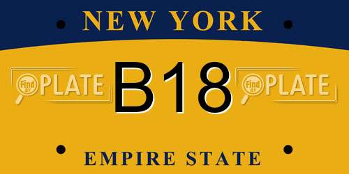 B18 New York License Plate