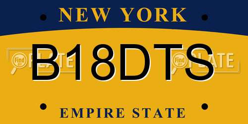 B18DTS New York License Plate
