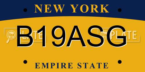 B19ASG New York License Plate