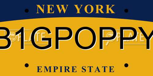 B1GPOPPY New York License Plate