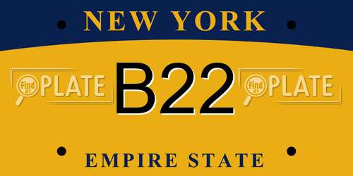 B22 New York License Plate