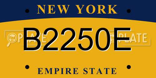 B2250E New York License Plate