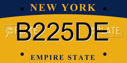 B225DE New York License Plate