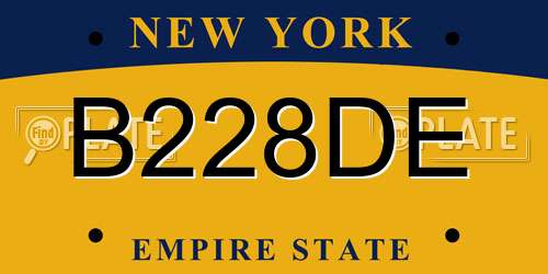 B228DE New York License Plate