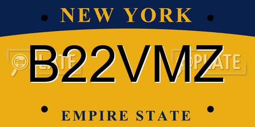 B22VMZ New York License Plate