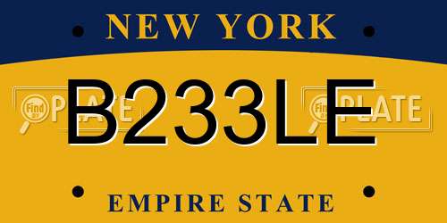 B233LE New York License Plate