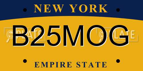 B25MOG New York License Plate