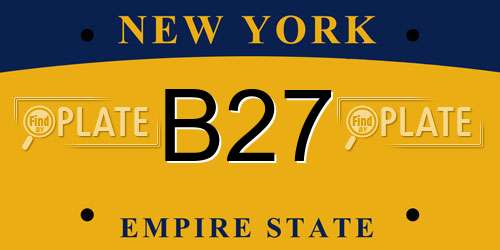B27 New York License Plate