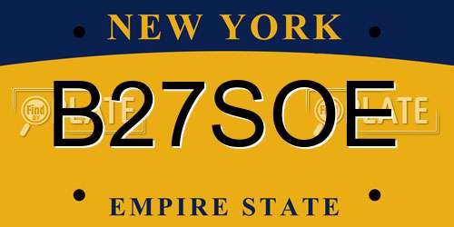 B27SOE New York License Plate