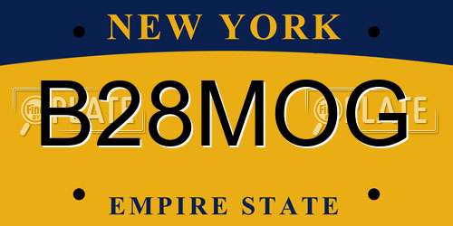 B28MOG New York License Plate