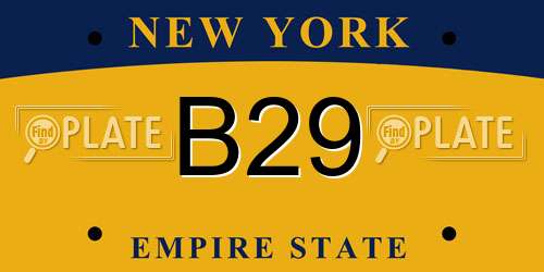 B29 New York License Plate