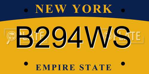 B294WS New York License Plate