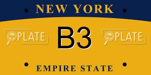 B3 New York License Plate
