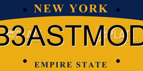 B3ASTMOD New York License Plate