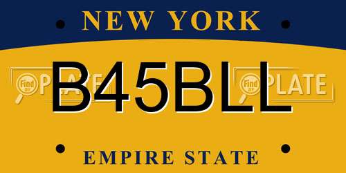 B45BLL New York License Plate
