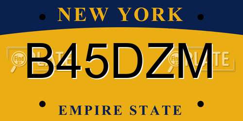 B45DZM New York License Plate