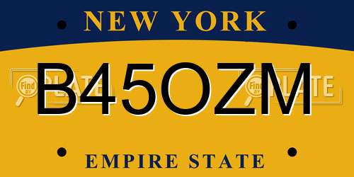 B45OZM New York License Plate