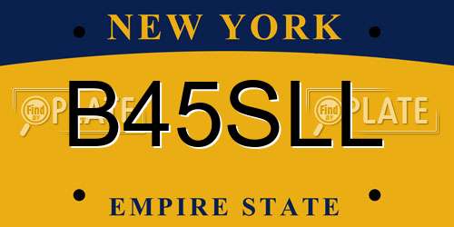 B45SLL New York License Plate