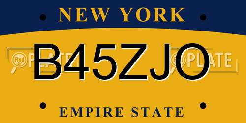 B45ZJO New York License Plate