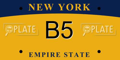 B5 New York License Plate