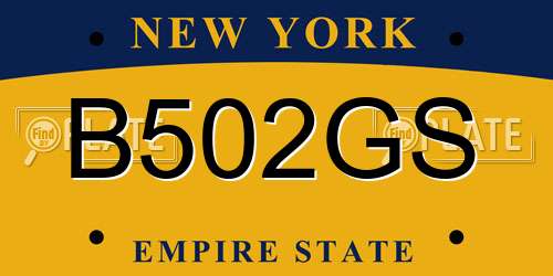 B502GS New York License Plate