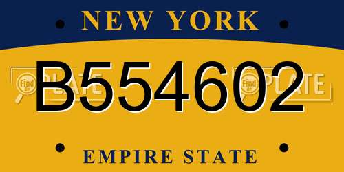 B554602 New York License Plate