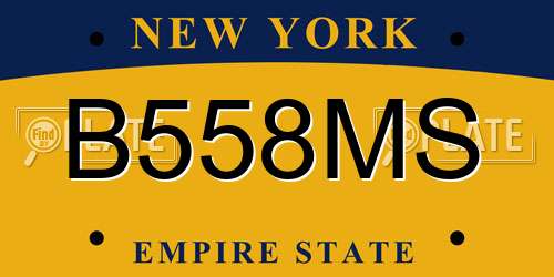 B558MS New York License Plate