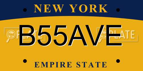 B55AVE New York License Plate