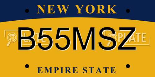 B55MSZ New York License Plate