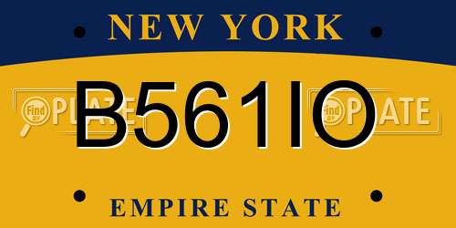 B561IO New York License Plate