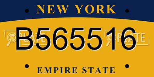 B565516 New York License Plate