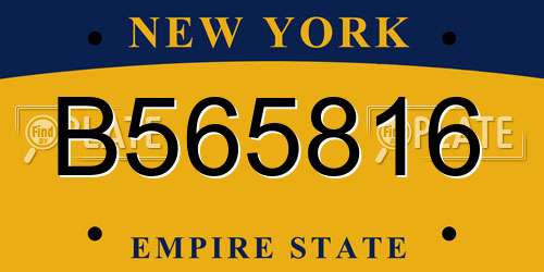 B565816 New York License Plate