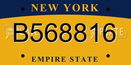 B568816 New York License Plate
