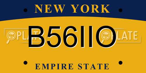 B56IIO New York License Plate