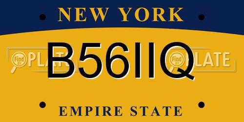 B56IIQ New York License Plate