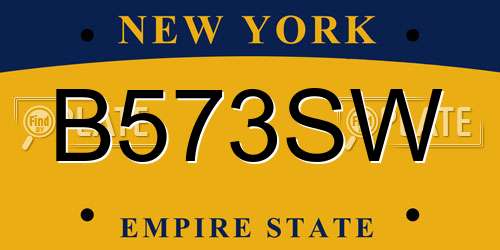B573SW New York License Plate