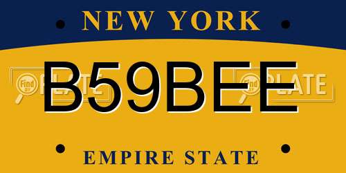 B59BEE New York License Plate