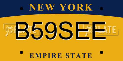 B59SEE New York License Plate